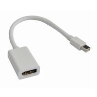 Astrotek Mini Display port Cable 20P M to Display port (AT-MINIDPP-MF) - 1