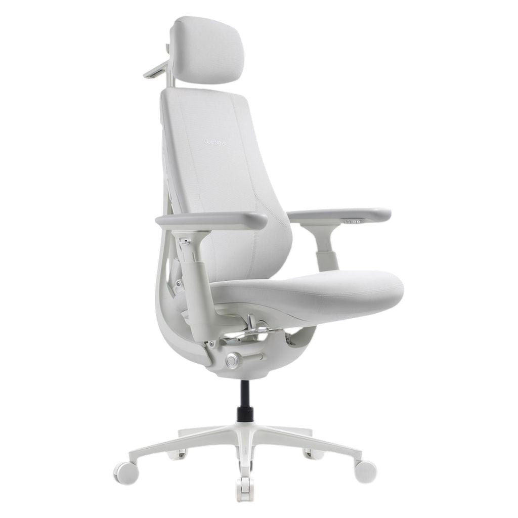 LiberNovo Maxis Airflow Big & Tall Dynamic Ergonomic Chair - Glacier