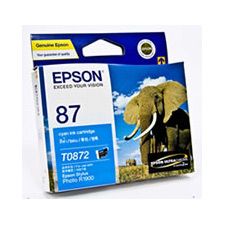 Epson UltraChrome Hi-Gloss2 Photo Cyan Ink Cartridge(T087290) - 1