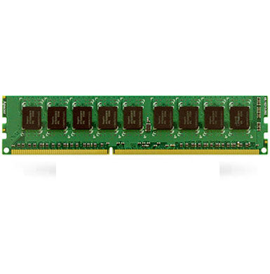 Synology 4GB DDR3 ECC DRAM Memory Module(4GB ECC DRAM) - 1