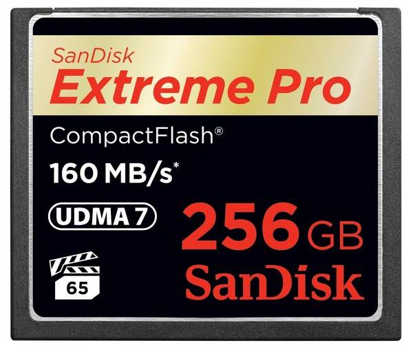SanDisk 256GB Extreme Pro CF CompactFlash Memory Card - 160MB/s(SDCFXPS-256G) - 1