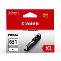 Canon CLI651XL Grey Ink Cartridge(CLI651XLGY) - 1