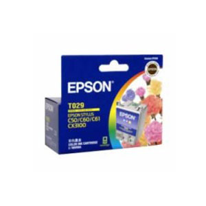 Epson T029 Colour Ink Cart 300 pages Colour(C13T029091) - 1