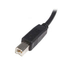 StarTech 5m USB 2.0 A to B Cable - M/M(USB2HAB5M) - 3