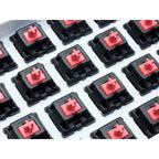 Filco Majestouch 2 HAKUA Tenkeyless Mechanical Gaming Keyboard - Silent Switch(FKBN87MPS/EMW2) - 7