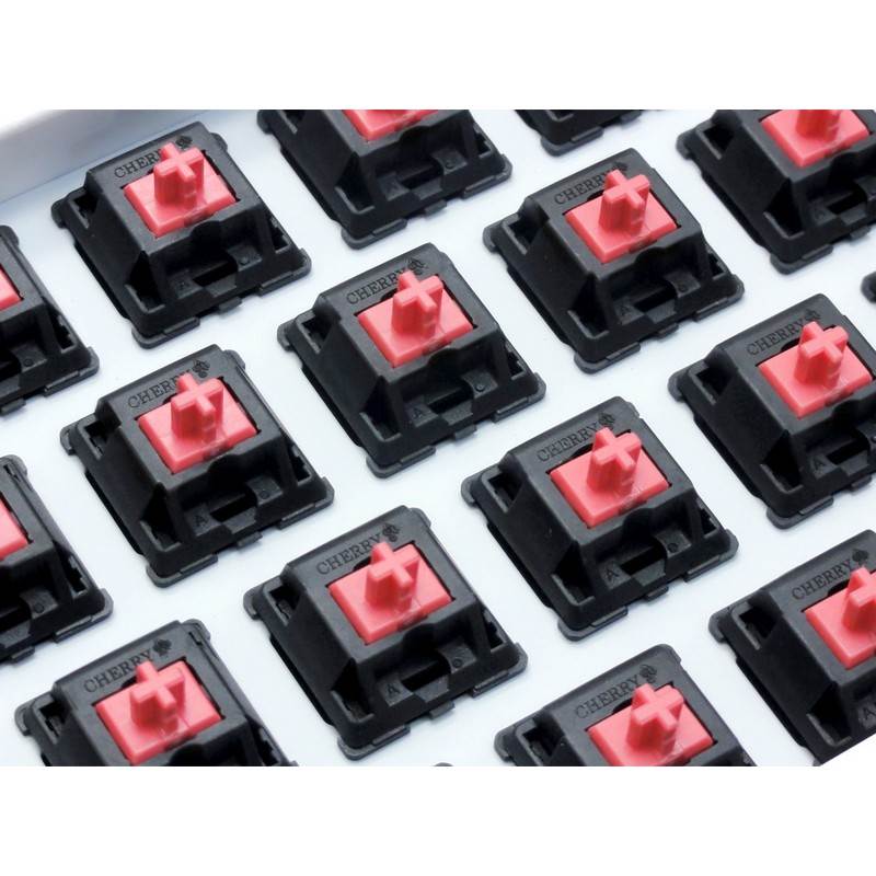 Filco Majestouch 2 HAKUA Tenkeyless Mechanical Gaming Keyboard - Silent Switch(FKBN87MPS/EMW2) - 7