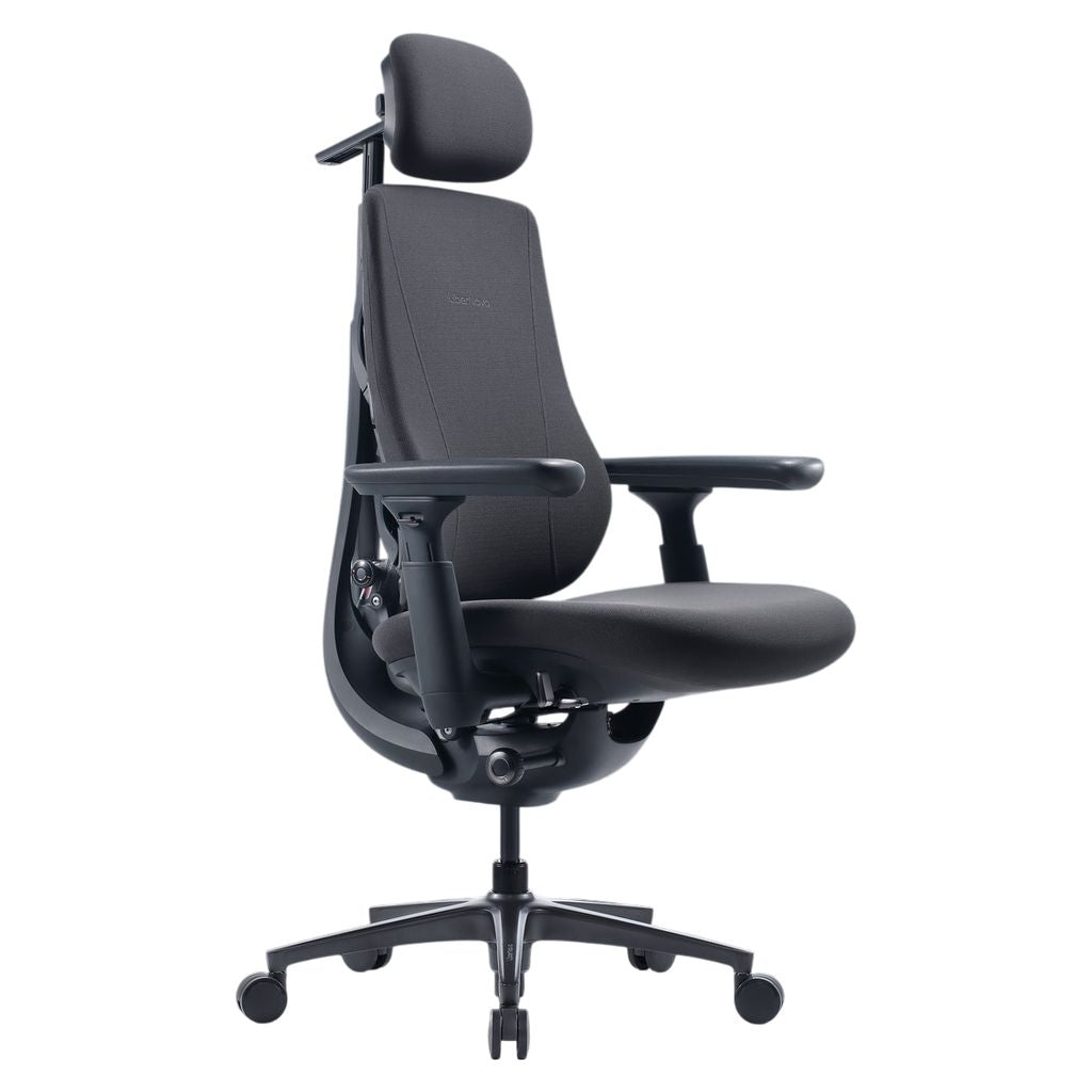 LiberNovo Maxis Manual Big & Tall Dynamic Ergonomic Chair - Graphite