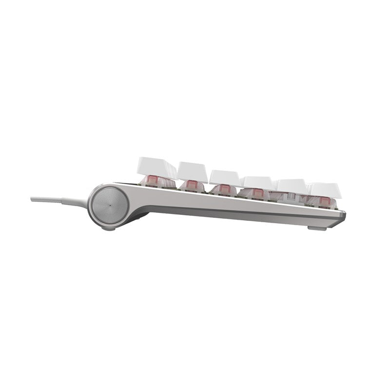 Cherry MX 8.0 RGB Silver/White Mechanical Gaming Keyboard - Cherry MX Blue(G80-3888HSAEU-0) - 5