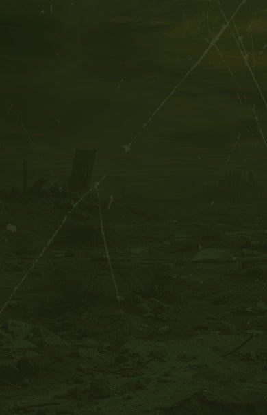 custom waves  stalker2 390x605px