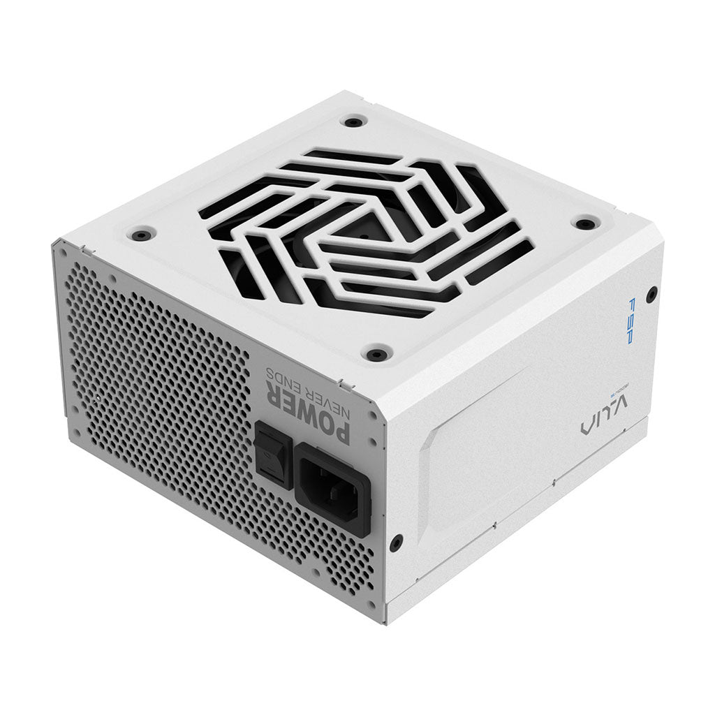 FSP VITA GM 750W 80+ Gold PCIe 5.1 ATX 3.1 Fully Modular Power Supply - White(VITA-750GM W) - 5