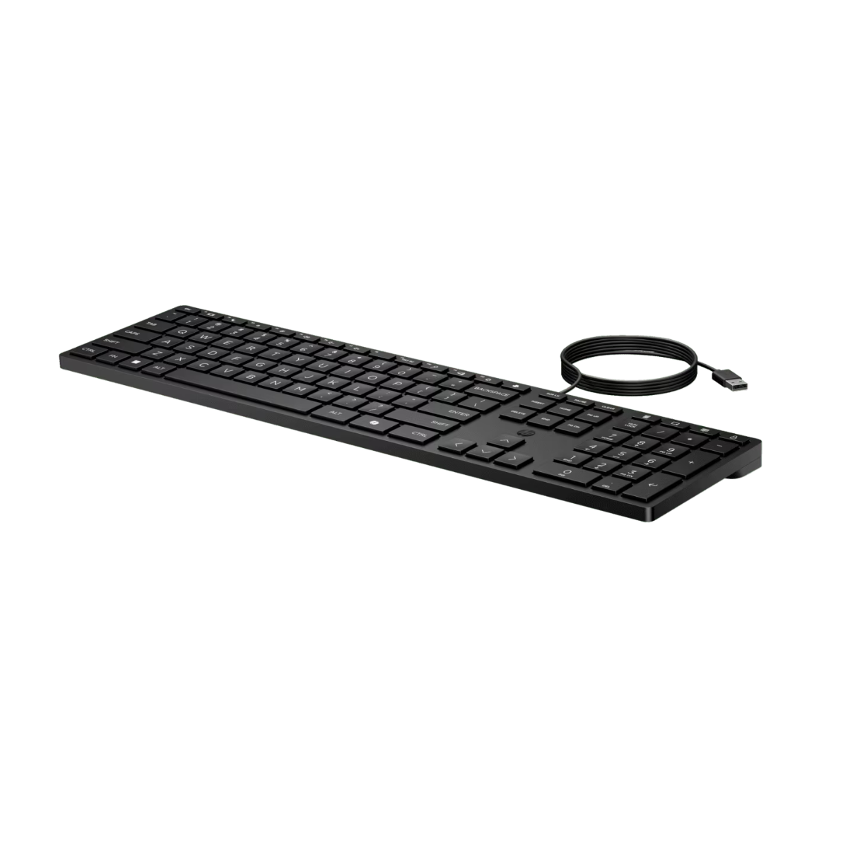 HP Wired Desktop 320K Keyboard(9SR37UT) - 3