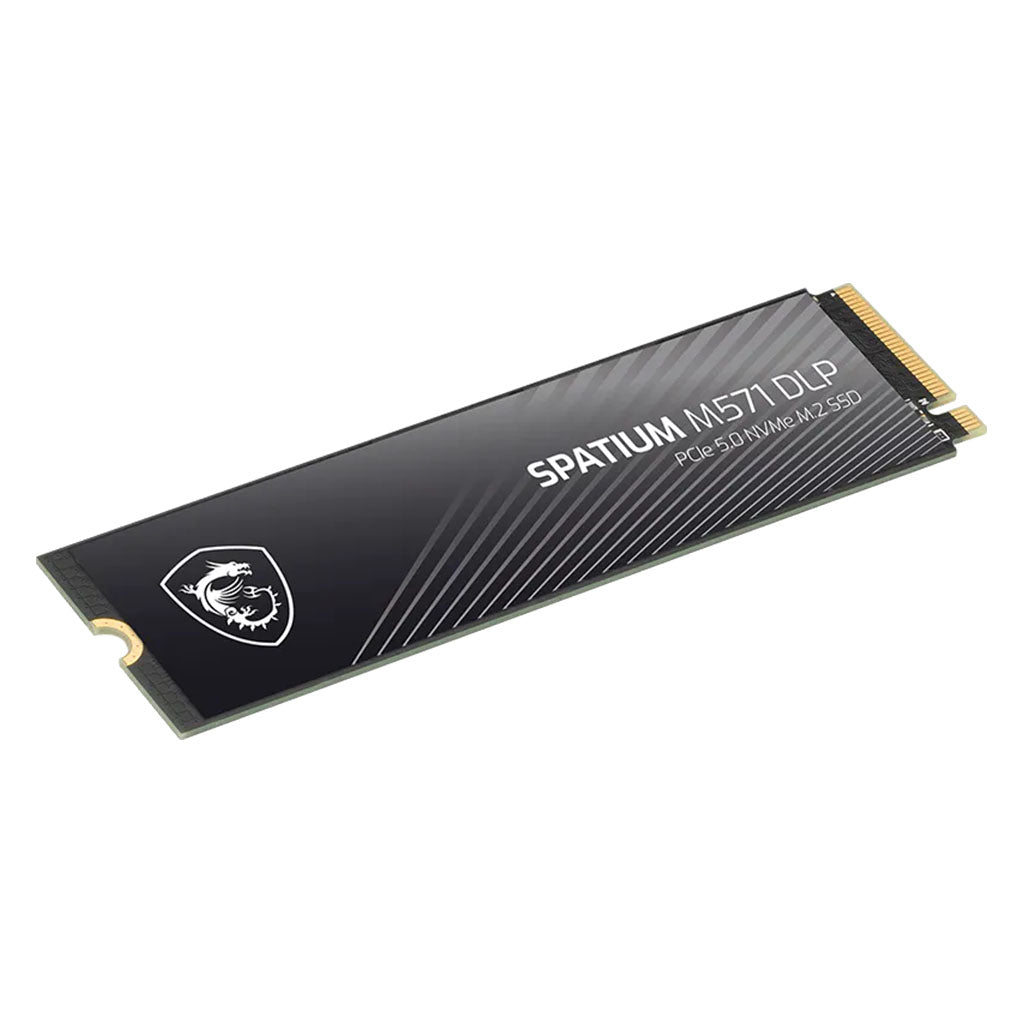 MSI SPATIUM M571 DLP 2TB PCIe 5.0 NVMe M.2 SSD(SPATIUM M571 DLP 2TB) - 3