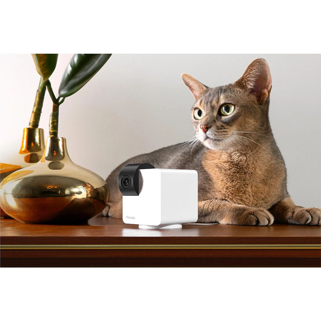 Petcube Cam 360 Rotating Pet Camera(7585) - 5
