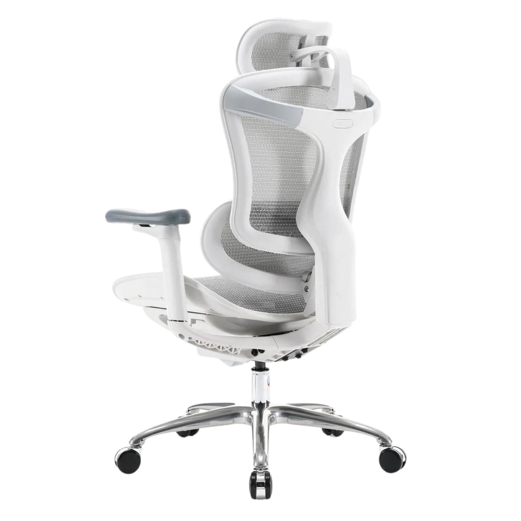 Sihoo A3 Doro C100 Ergonomic Office Chair - Grey(C100-B202) - 4