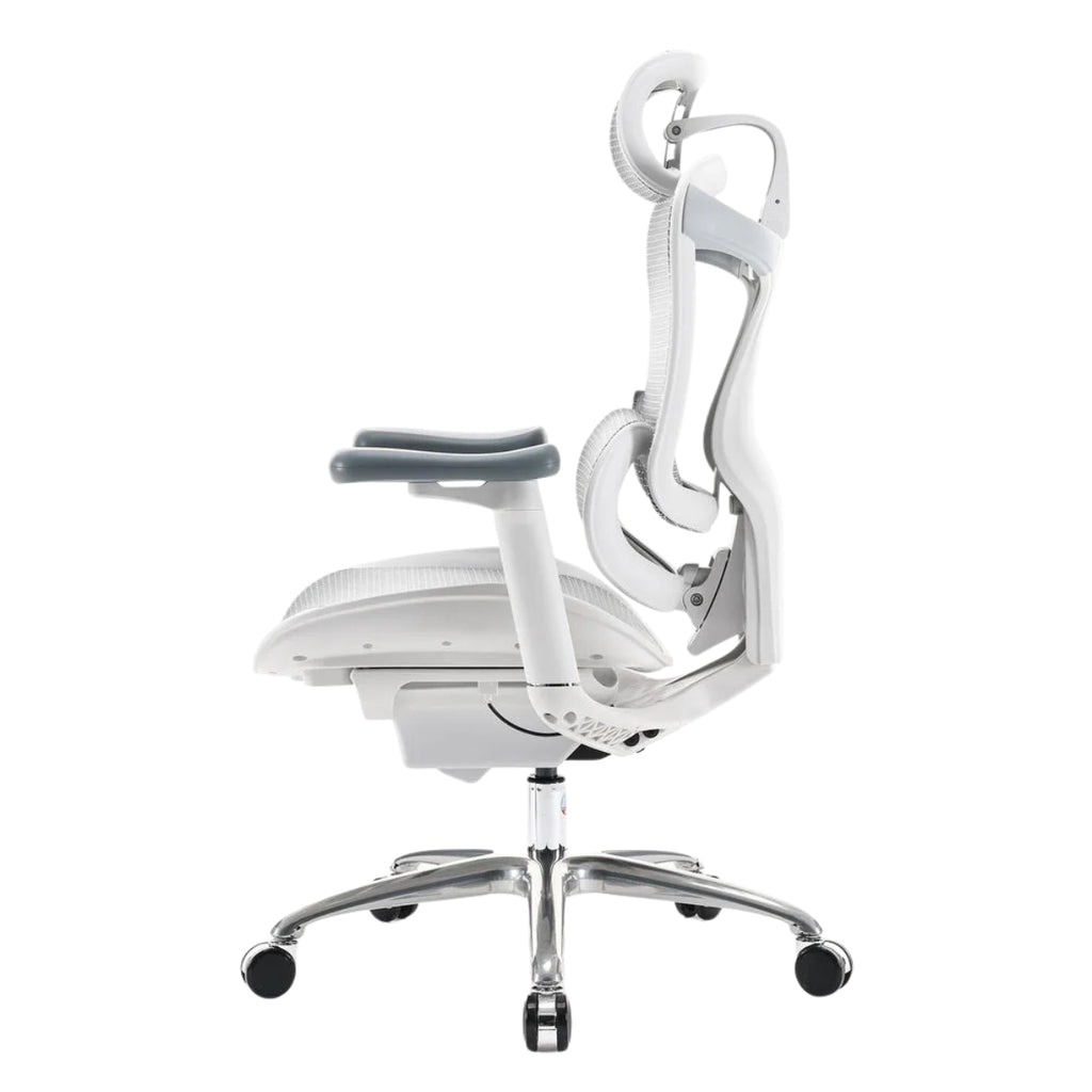 Sihoo A3 Doro C100 Ergonomic Office Chair - Grey(C100-B202) - 5