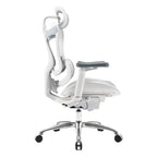 Sihoo A3 Doro C100 Ergonomic Office Chair - Grey(C100-B202) - 6
