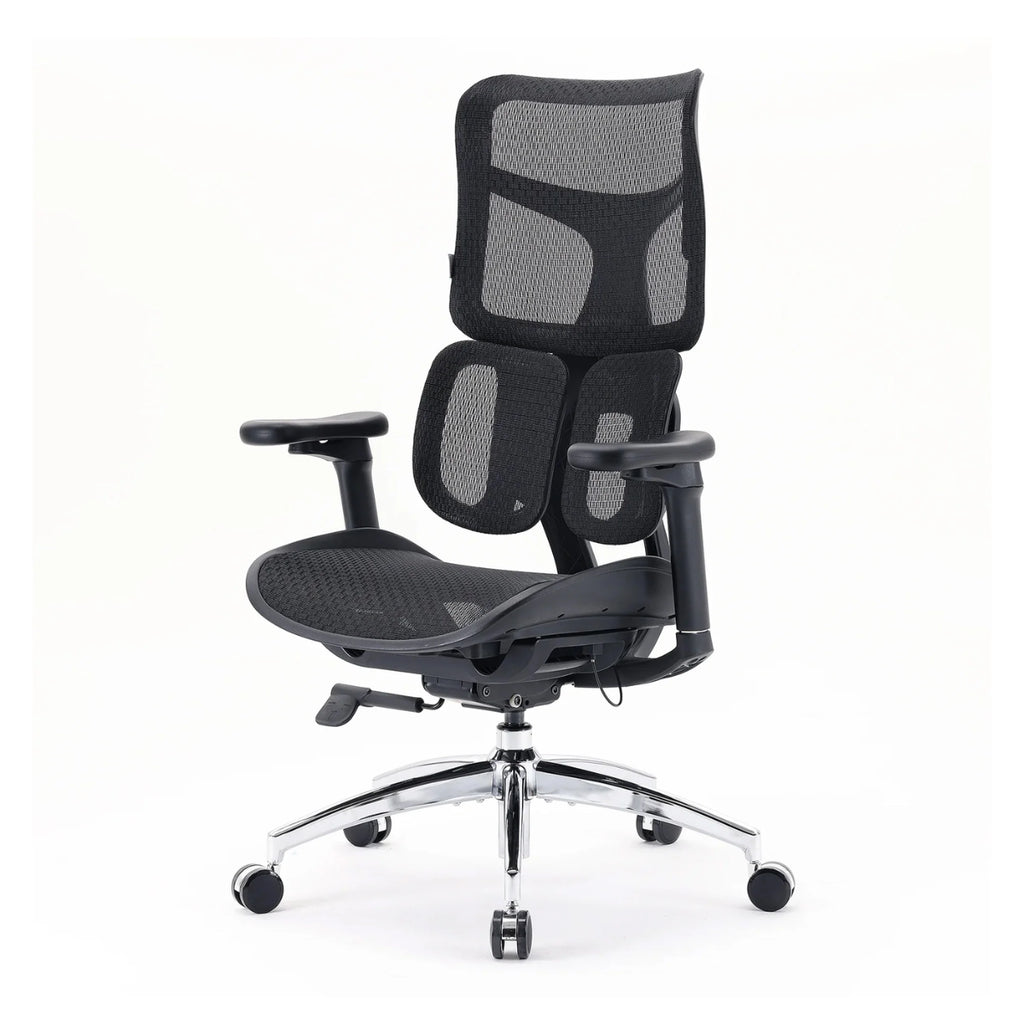 Sihoo Doro S100 Ergonomic Office Chair - Black(S100-M301) - 4