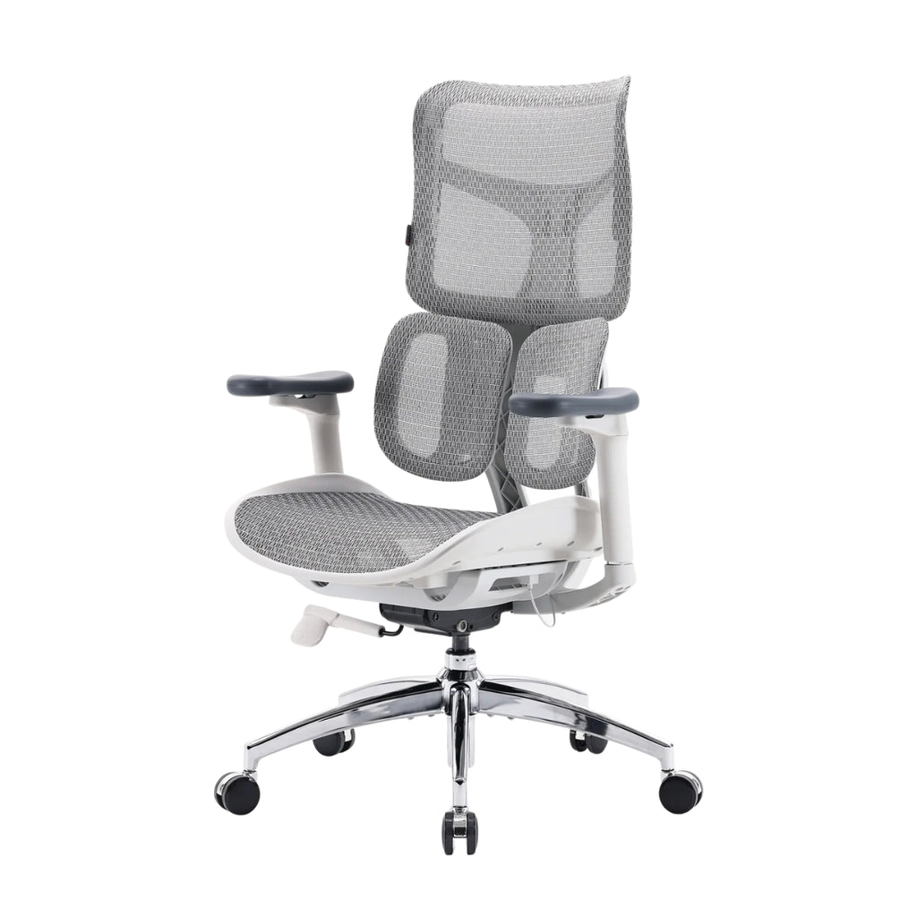 Sihoo Doro S100 Ergonomic Office Chair - Grey(S100-M302) - 4