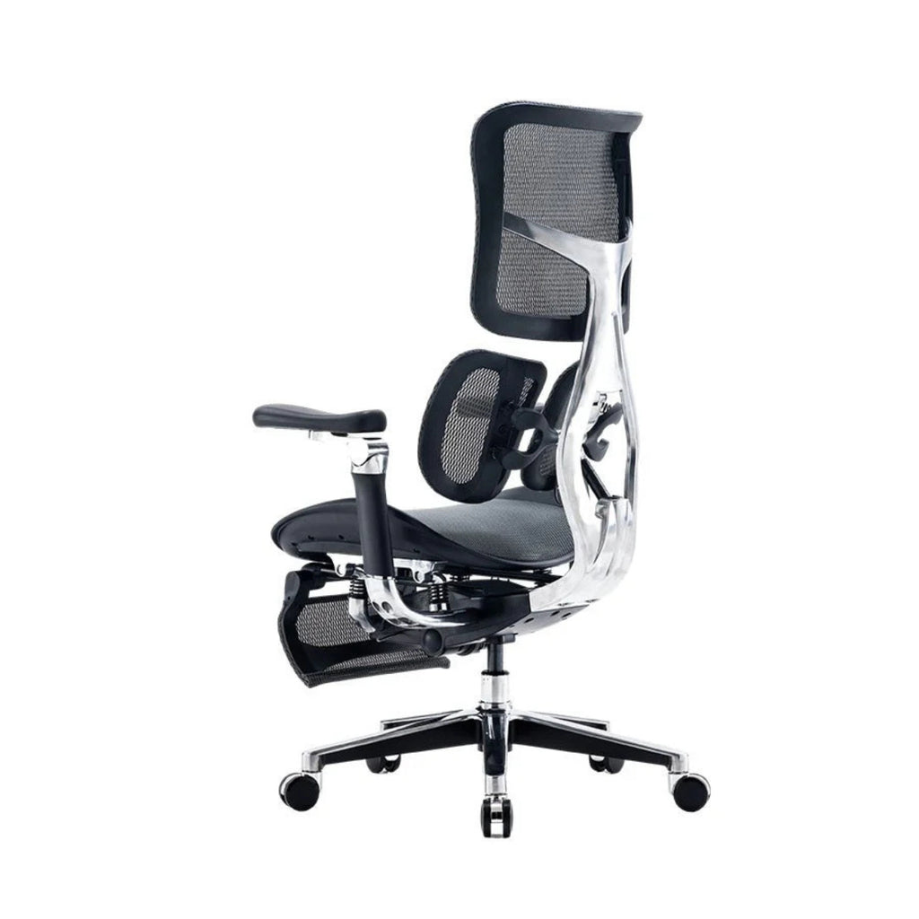 Sihoo Doro S300 Ergonomic Office Chair with Footrest - Black(S300-B101-JT) - 4