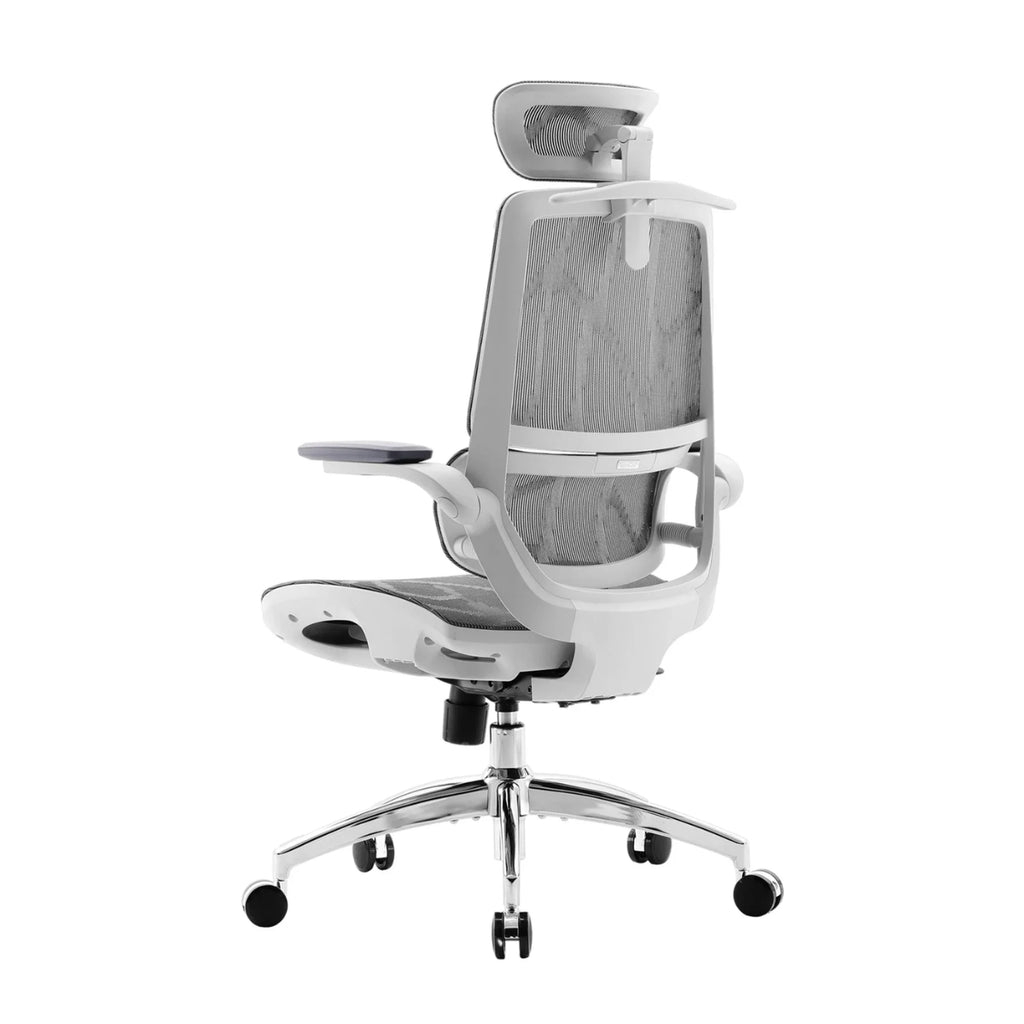 Sihoo M59AS Ergonomic Office Chair - Grey(M59AS-M301) - 5