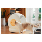 UB Pet by Pettecc Smart Litter Box - C20(6490) - 7